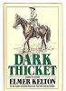 Dark_thicket