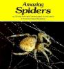 Amazing_spiders