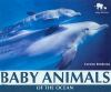 Baby_animals_of_the_ocean