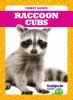 Raccoon_cubs