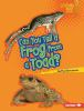 Can_you_tell_a_frog_from_a_toad_