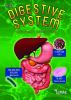 Your_Digestive_System