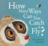 How_many_ways____can_you_catch_a_fly_