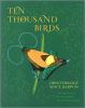 Ten_thousand_birds