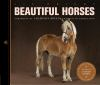Beautiful_horses