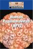Human_Papillomavirus__HPV_