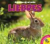Liebres___Rabbits