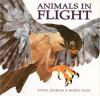 Animals_in_flight
