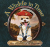 A_Winkle_in_time