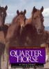 The_quarter_horse