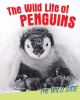 The_wild_life_of_penguins