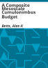 A_composite_mesoscale_cumulonimbus_budget