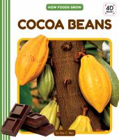 Cocoa_beans