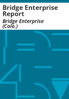 Bridge_Enterprise_report