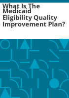 What_is_the_Medicaid_eligibility_quality_improvement_plan_