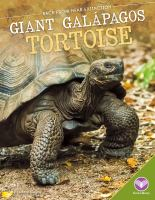 Giant_Galp__agos_tortoise