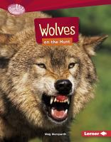 Wolves_on_the_hunt