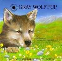 Gray_wolf_pup