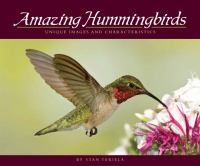 Amazing_hummingbirds__unique_images_and_characteristics