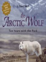 The_arctic_wolf