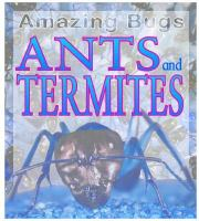 Ants_and_Termites