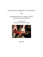 Conservation_agreement_and_strategy_for_Colorado_River_cutthroat_trout__oncorhynchus_clarki_pleuriticus__in_the_states_of_Colorado__Utah__and_Wyoming