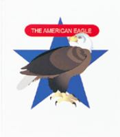 The_American_eagle