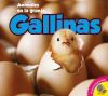 Gallinas__Chickens