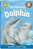 Hello__Dolphin_