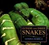 Outside_and_inside_snakes