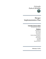 Merger_implementation_plan