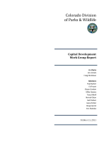 Capital_Development_Work_Group_report