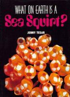 What_on_earth_is_a_sea_squirt