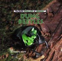 Dung_Beetles