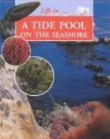 A_tide_pool_on_the_seashore
