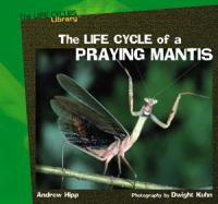 The_life_cycle_of_a_praying_mantis